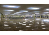 이미지 없음